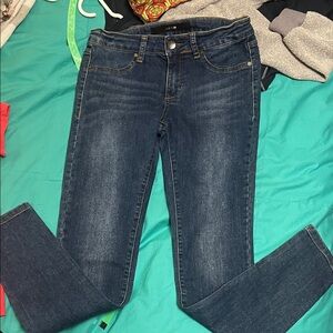 Joe's Jeans Dark Blue Skinny Jeans